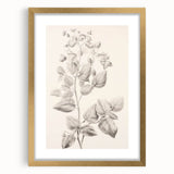 Vintage Botanical Art Print: Detailed Floral Leaf Illustration