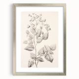 Vintage Botanical Art Print: Detailed Floral Leaf Illustration