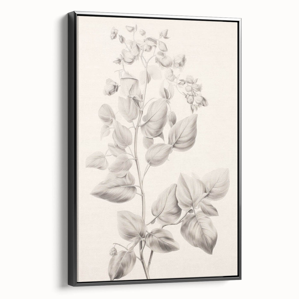 Vintage Botanical Art Print: Detailed Floral Leaf Illustration