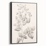 Vintage Botanical Art Print: Detailed Floral Leaf Illustration