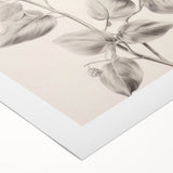 Vintage Botanical Art Print: Detailed Floral Leaf Illustration