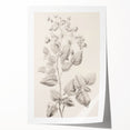 Vintage Botanical Art Print: Detailed Floral Leaf Illustration