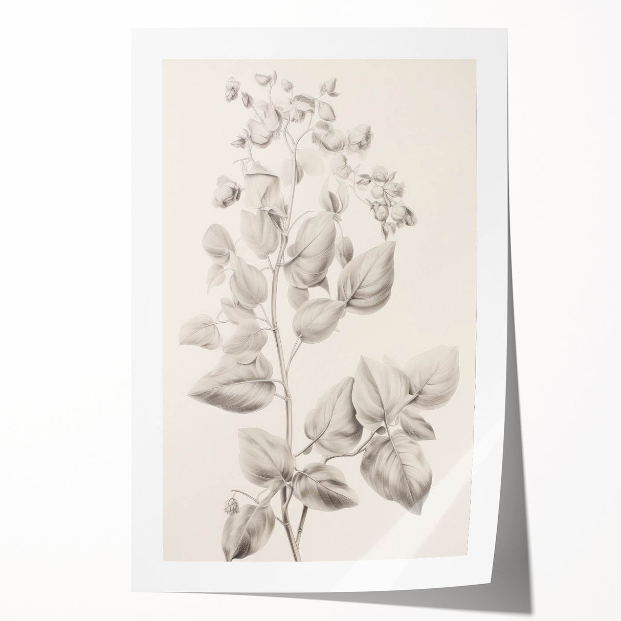 Vintage Botanical Art Print: Detailed Floral Leaf Illustration