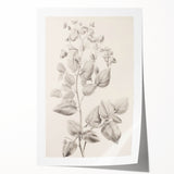 Vintage Botanical Art Print: Detailed Floral Leaf Illustration