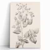 Vintage Botanical Art Print: Detailed Floral Leaf Illustration