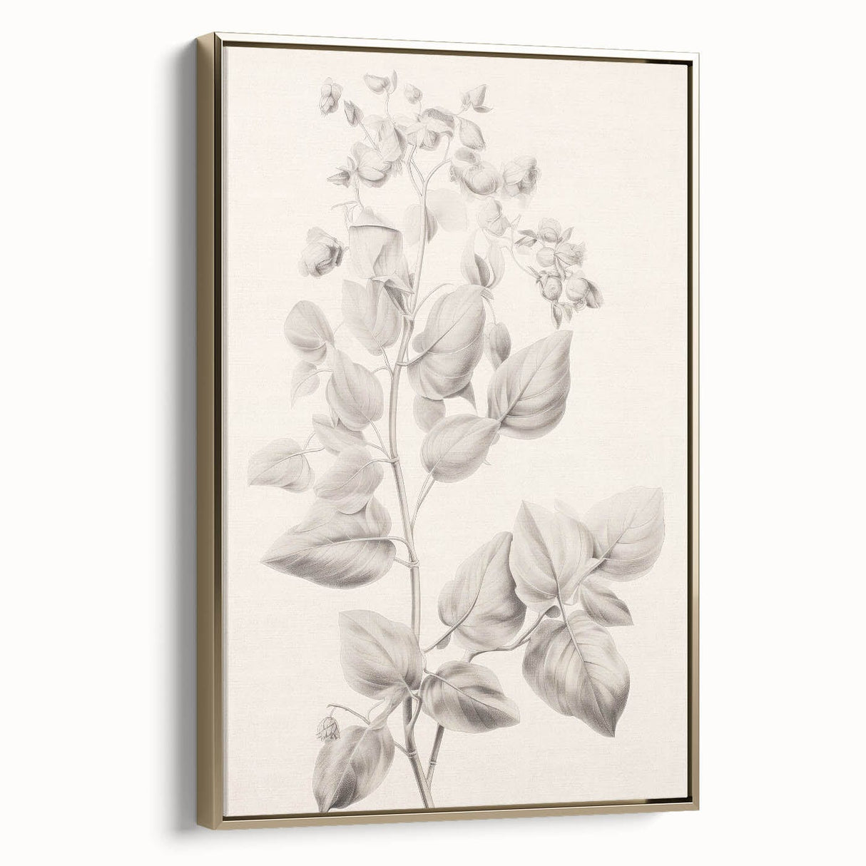 Vintage Botanical Art Print: Detailed Floral Leaf Illustration