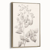 Vintage Botanical Art Print: Detailed Floral Leaf Illustration