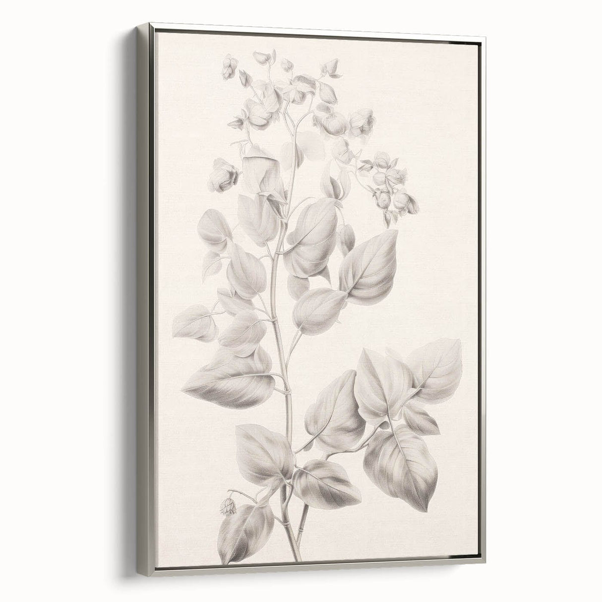 Vintage Botanical Art Print: Detailed Floral Leaf Illustration