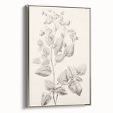 Vintage Botanical Art Print: Detailed Floral Leaf Illustration