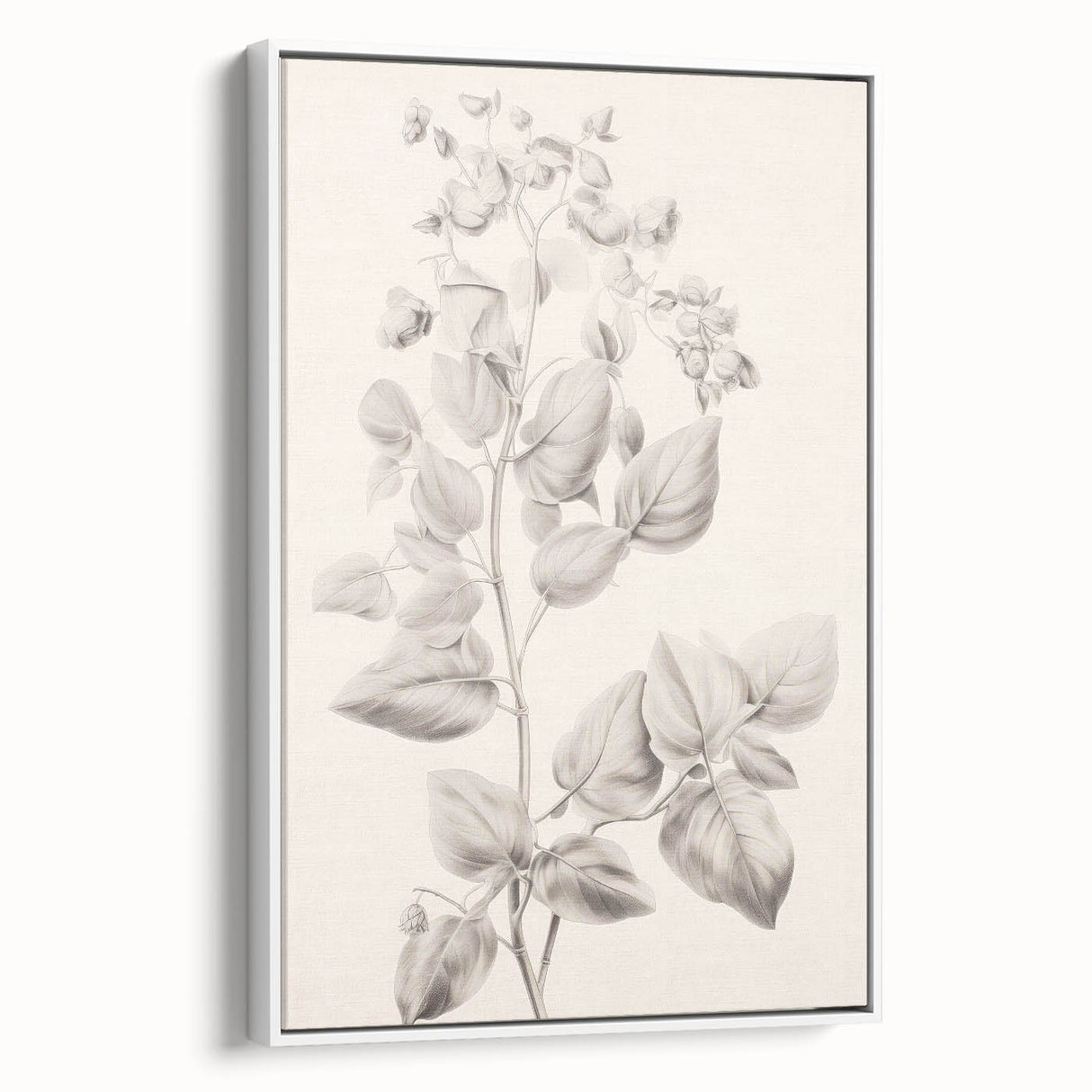 Vintage Botanical Art Print: Detailed Floral Leaf Illustration