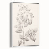 Vintage Botanical Art Print: Detailed Floral Leaf Illustration
