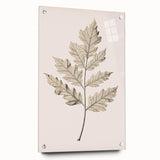 Vintage Botanical Art Prints – Elegant Oak Leaf Drawing