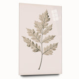 Vintage Botanical Art Prints – Elegant Oak Leaf Drawing