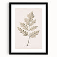 Vintage Botanical Art Prints – Elegant Oak Leaf Drawing