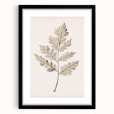 Vintage Botanical Art Prints – Elegant Oak Leaf Drawing