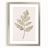 Vintage Botanical Art Prints – Elegant Oak Leaf Drawing