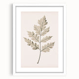Vintage Botanical Art Prints – Elegant Oak Leaf Drawing