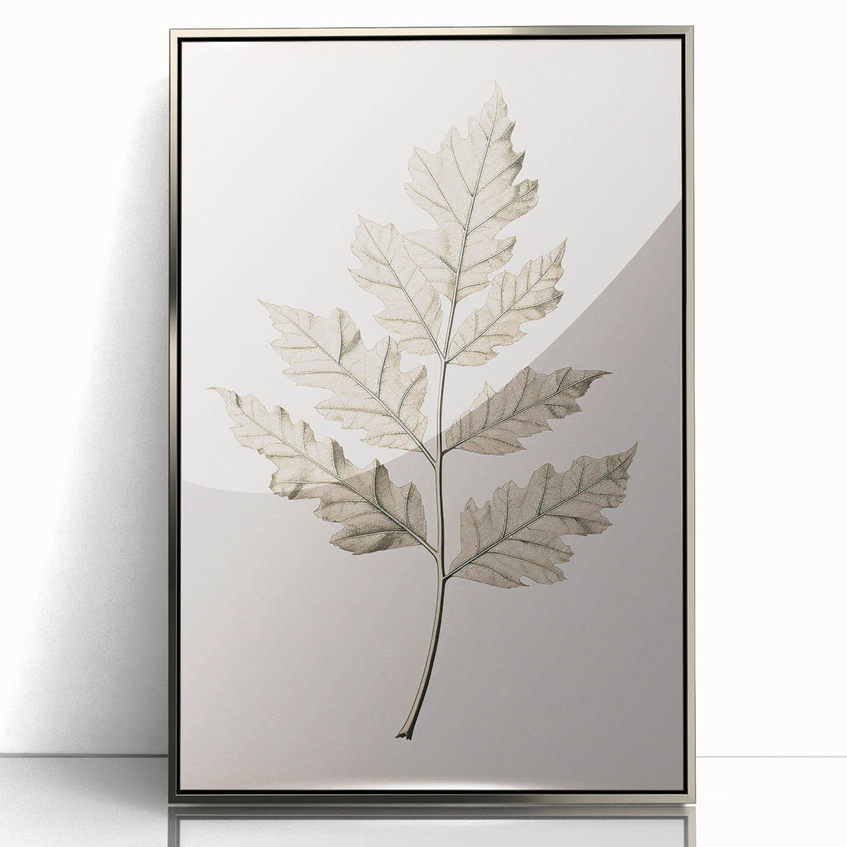 Vintage Botanical Art Prints – Elegant Oak Leaf Drawing