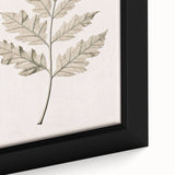 Vintage Botanical Art Prints – Elegant Oak Leaf Drawing
