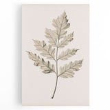 Vintage Botanical Art Prints – Elegant Oak Leaf Drawing