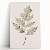 Vintage Botanical Art Prints – Elegant Oak Leaf Drawing