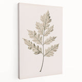 Vintage Botanical Art Prints – Elegant Oak Leaf Drawing