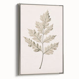 Vintage Botanical Art Prints – Elegant Oak Leaf Drawing