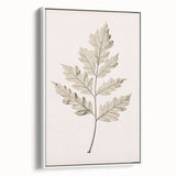 Vintage Botanical Art Prints – Elegant Oak Leaf Drawing