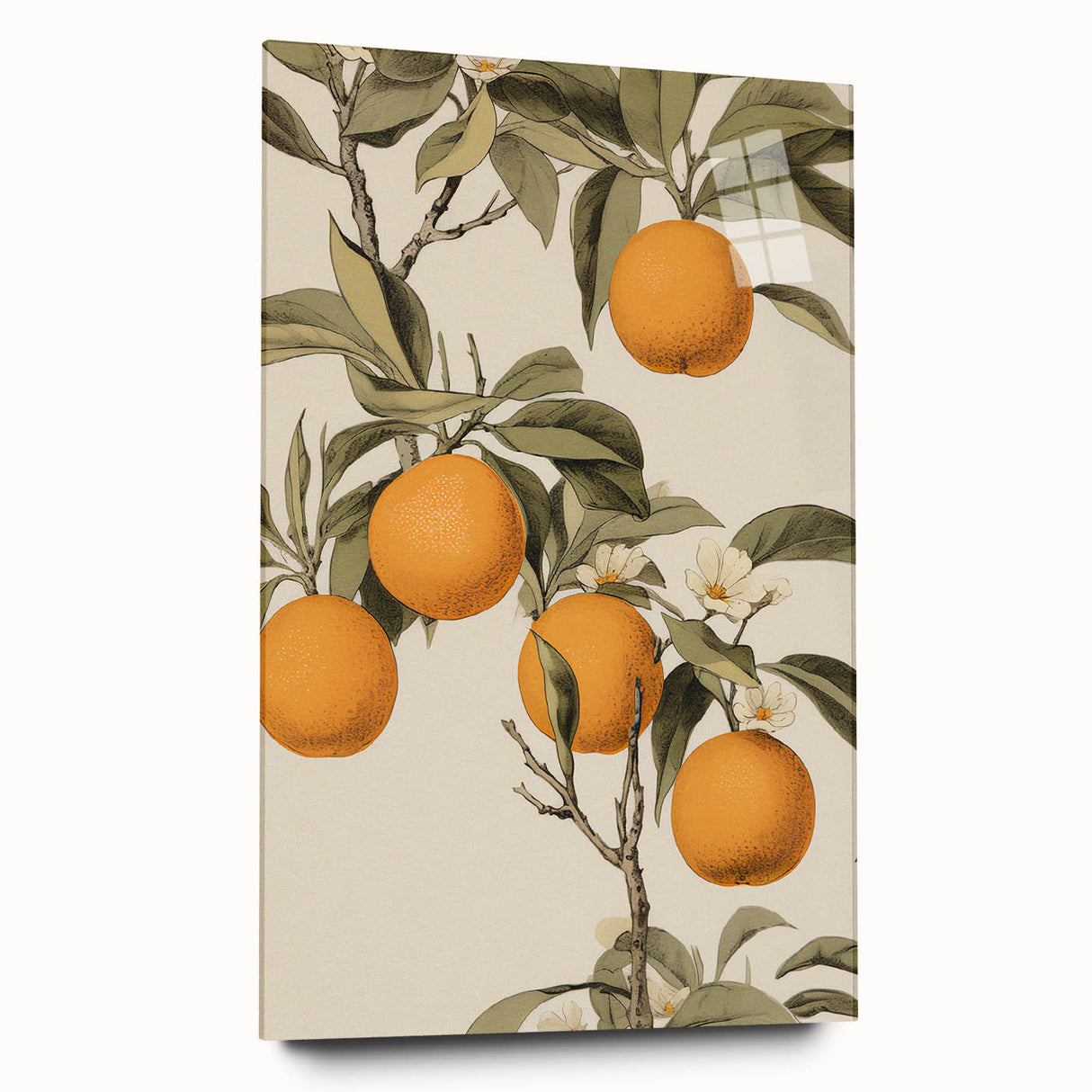 Vintage Botanical Art Print: Antique Orange Tree Illustration