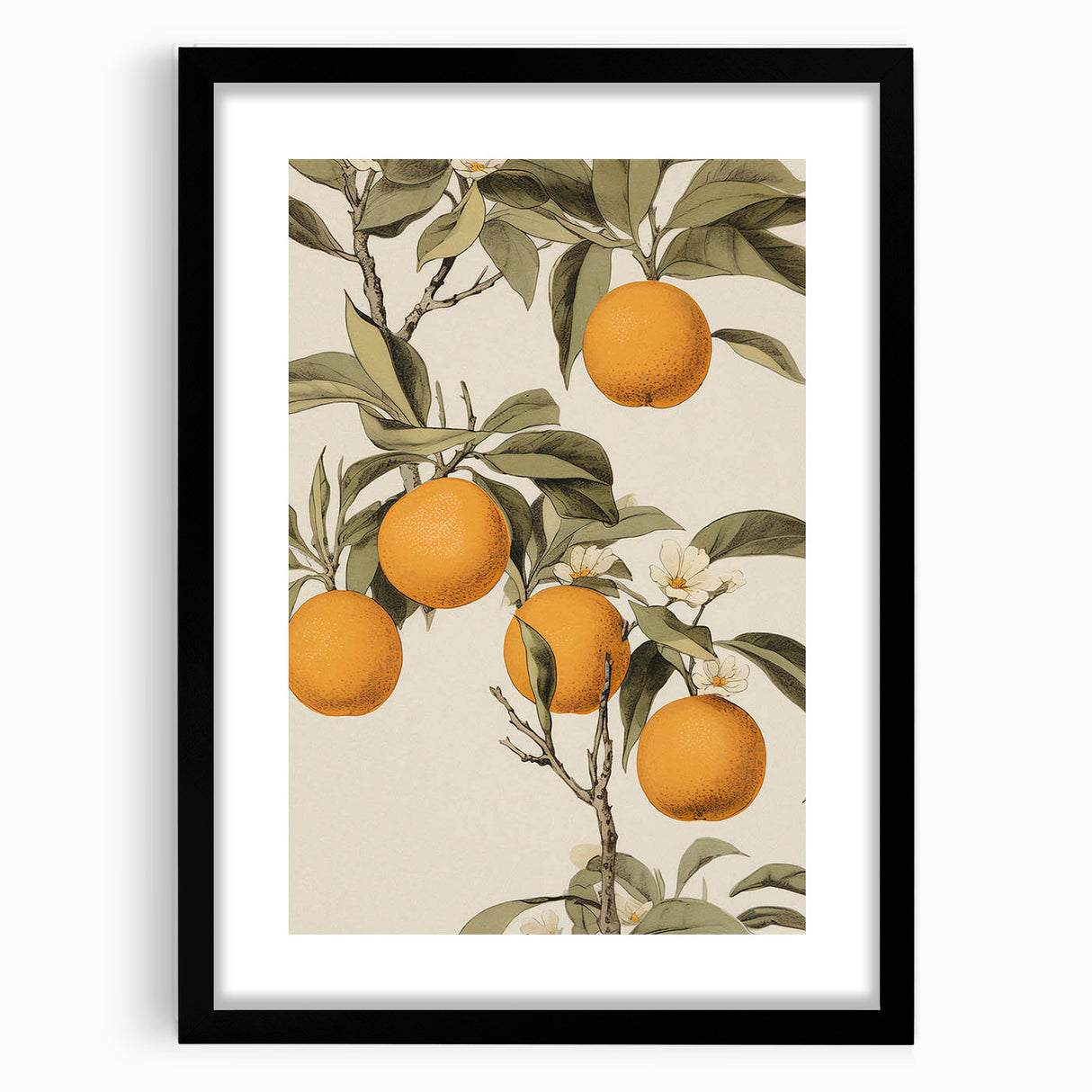 Vintage Botanical Art Print: Antique Orange Tree Illustration