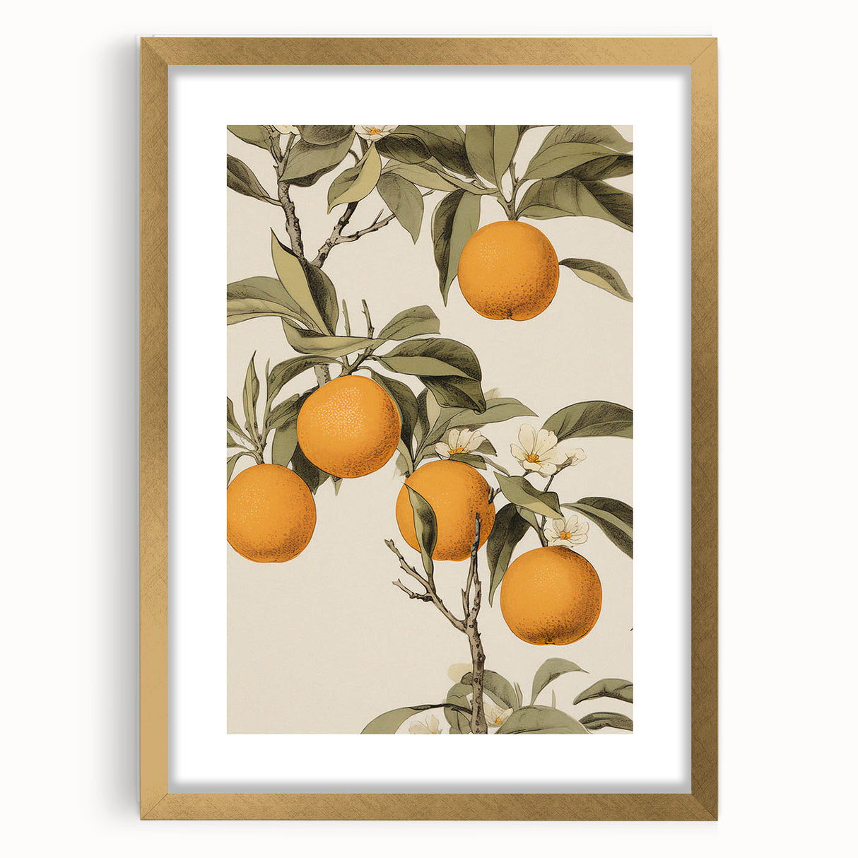 Vintage Botanical Art Print: Antique Orange Tree Illustration