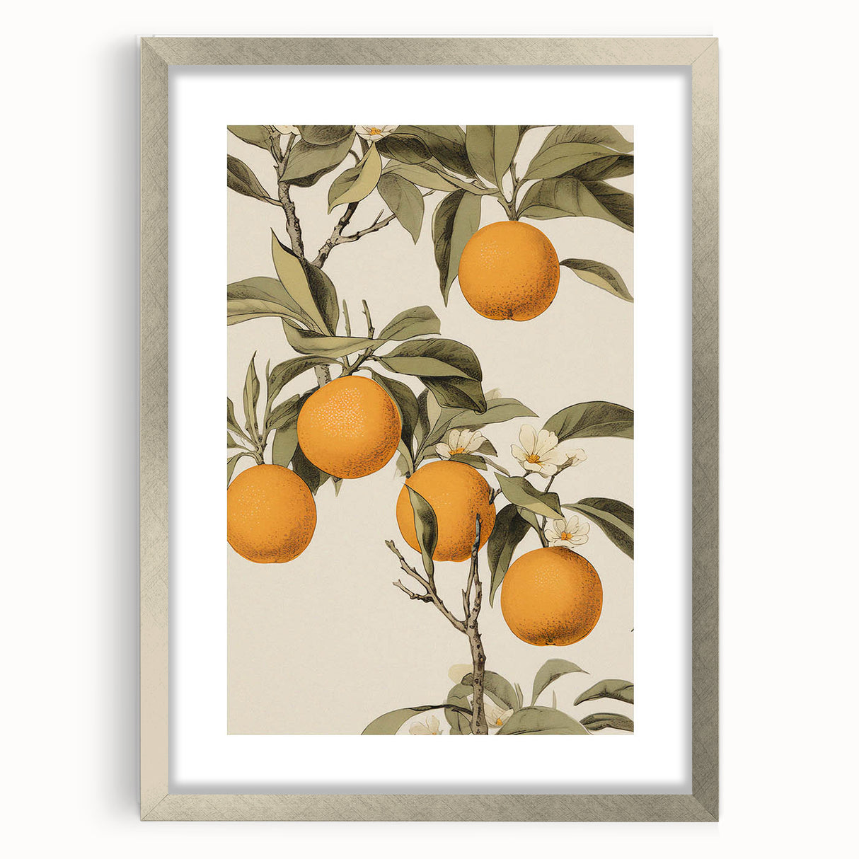 Vintage Botanical Art Print: Antique Orange Tree Illustration