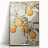 Vintage Botanical Art Print: Antique Orange Tree Illustration