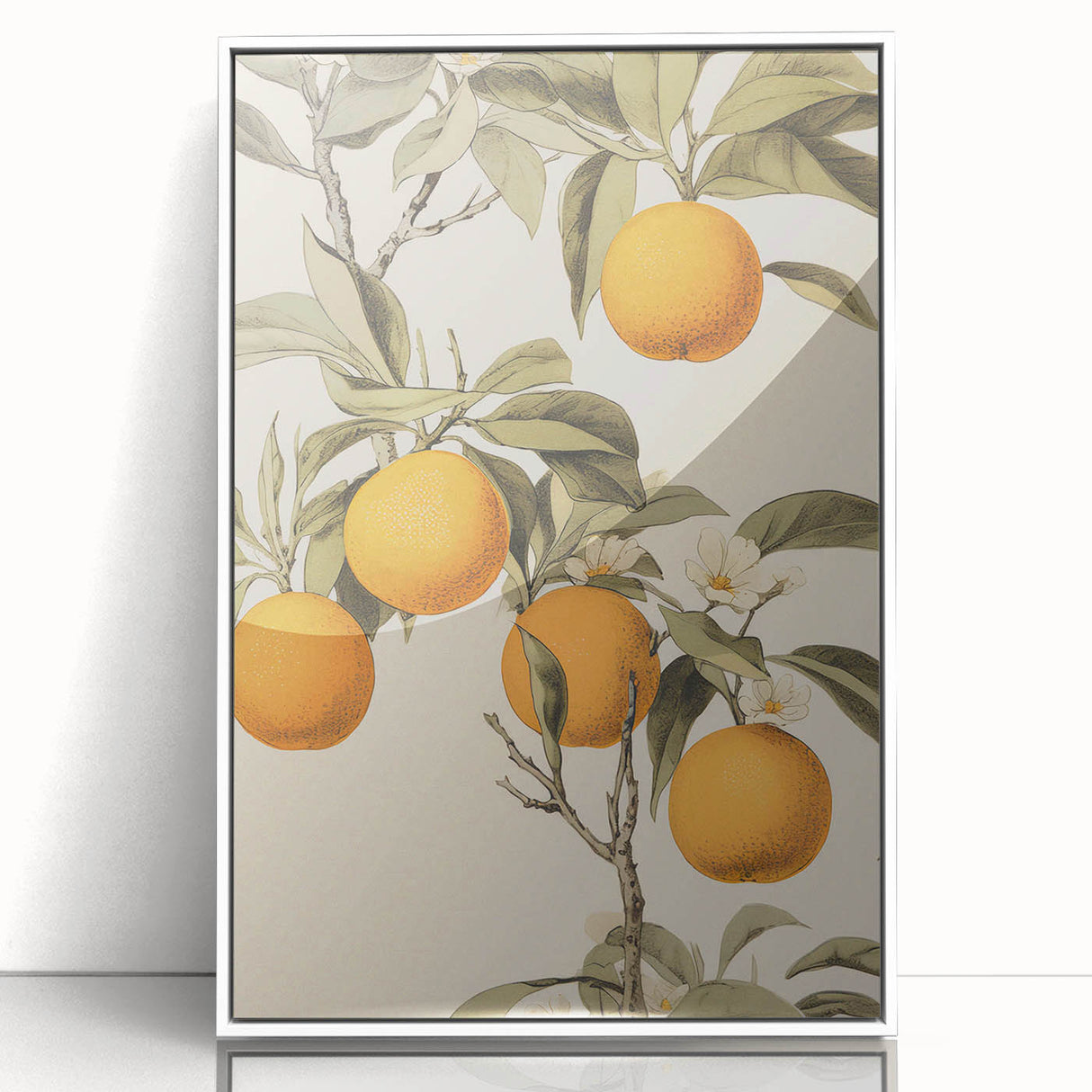 Vintage Botanical Art Print: Antique Orange Tree Illustration