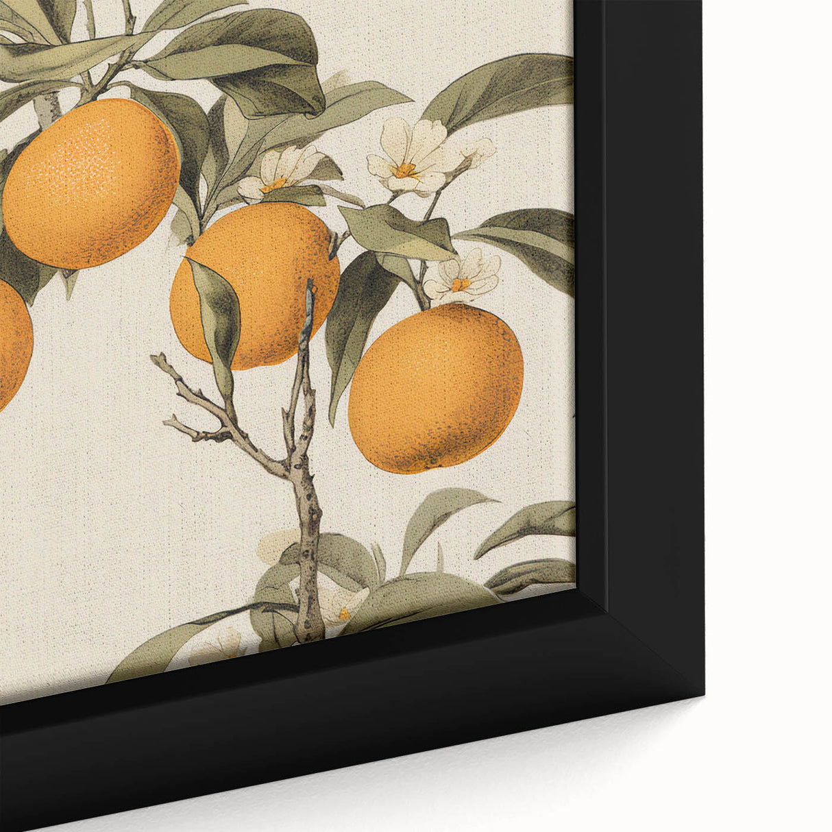 Vintage Botanical Art Print: Antique Orange Tree Illustration