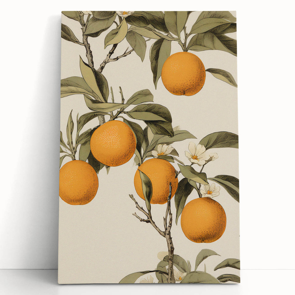 Vintage Botanical Art Print: Antique Orange Tree Illustration