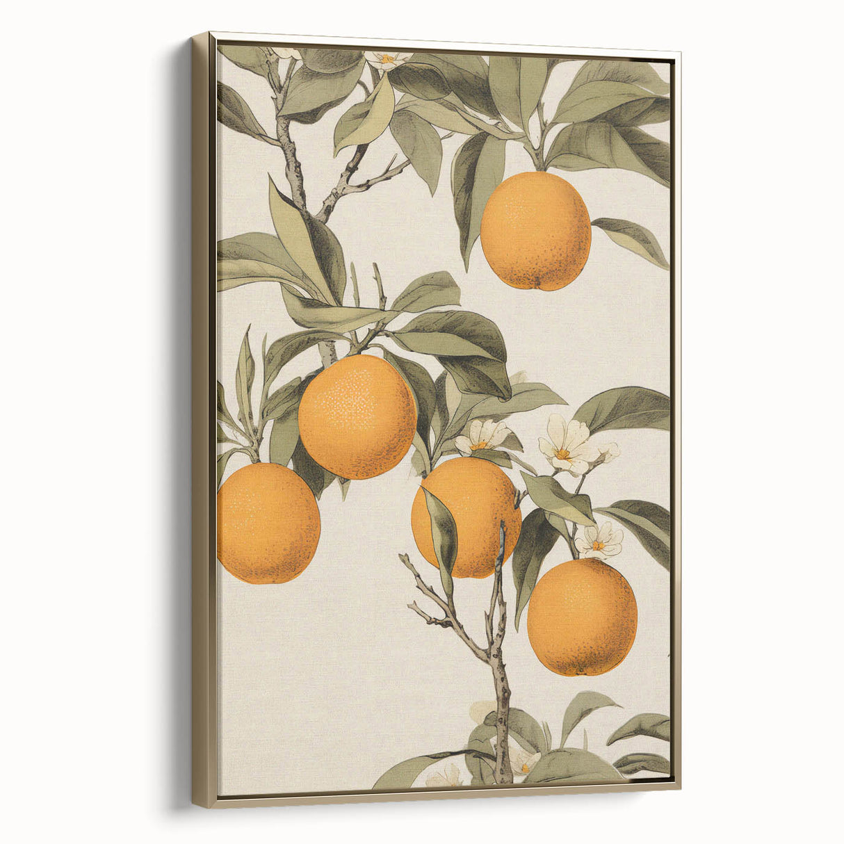 Vintage Botanical Art Print: Antique Orange Tree Illustration