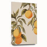 Vintage Botanical Art Print: Antique Lemon Tree Illustration