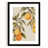 Vintage Botanical Art Print: Antique Lemon Tree Illustration