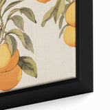 Vintage Botanical Art Print: Antique Lemon Tree Illustration