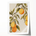Vintage Botanical Art Print: Antique Lemon Tree Illustration