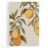 Vintage Botanical Art Print: Antique Lemon Tree Illustration