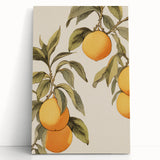 Vintage Botanical Art Print: Antique Lemon Tree Illustration