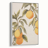 Vintage Botanical Art Print: Antique Lemon Tree Illustration