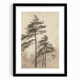 Vintage Botanical Art Print: Soft Tree Sketch Illustration