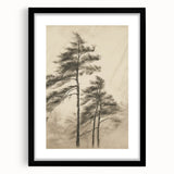 Vintage Botanical Art Print: Soft Tree Sketch Illustration