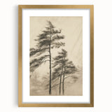 Vintage Botanical Art Print: Soft Tree Sketch Illustration