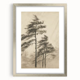 Vintage Botanical Art Print: Soft Tree Sketch Illustration