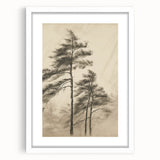Vintage Botanical Art Print: Soft Tree Sketch Illustration