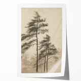 Vintage Botanical Art Print: Soft Tree Sketch Illustration